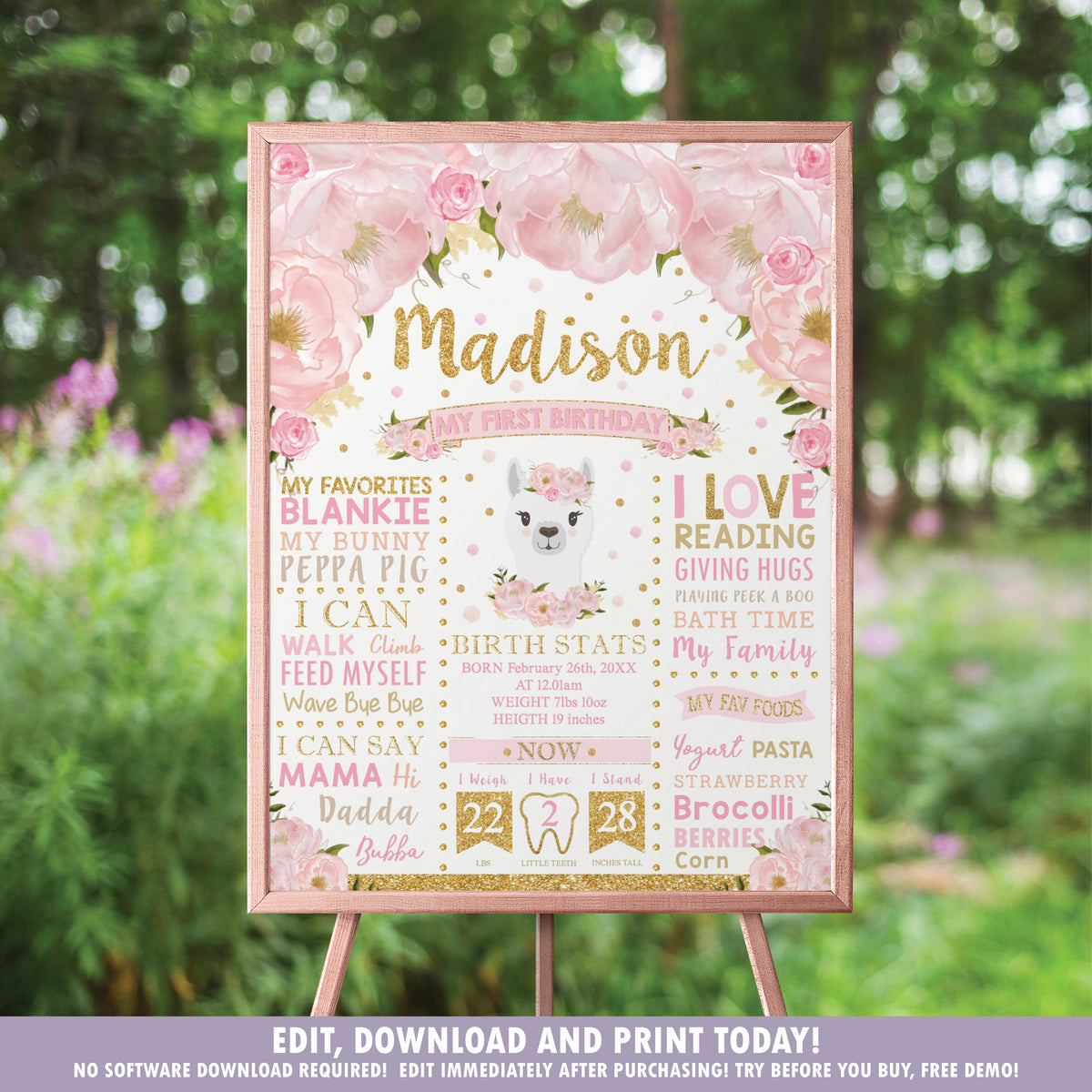 blush-floral-llama-1st-birthday-milestone-sign-birth-stats-editable-the-happy-cat-studio for Editable Printable Milestone Board Template Free Blush Floral Llama 1st Birthday Milestone Sign Birth Stats - EDITABLE – The Happy Cat Studio for Editable Printable Milestone Board Template Free
