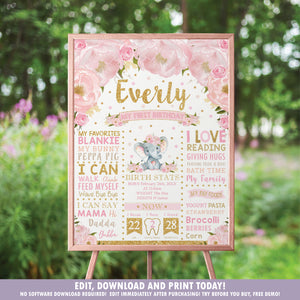 Blush Floral Elephant 1st Birthday Milestone Sign Birth Stats - EDITABLE TEMPLATE Instant Download Digital Printable File- EP5