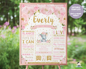Blush Floral Elephant 1st Birthday Milestone Sign Birth Stats - EDITABLE TEMPLATE Instant Download Digital Printable File- EP5