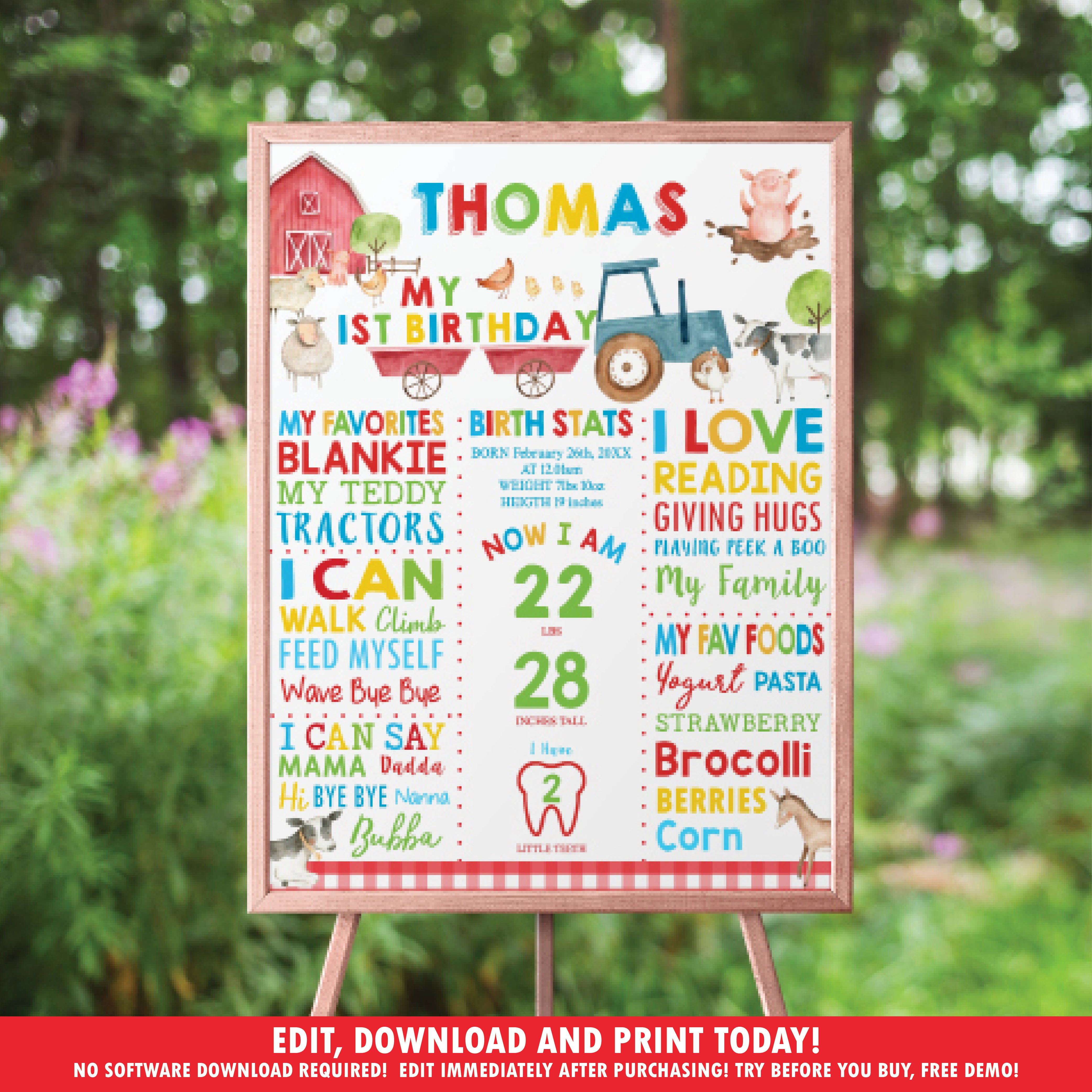 Poster First Born First Birthday Poster Template