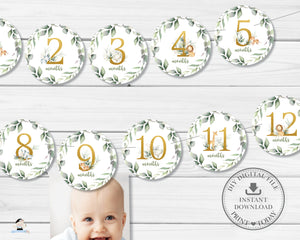 Jungle Animals Greenery 1st Birthday Photo Milestone First Year Banner - Instant Download - Digital Printable File