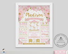 Load image into Gallery viewer, Pink Floral Carousel 1st Birthday Milestone Sign Birth Stats Editable Template - Instant Download - Digital Printable File - CR3